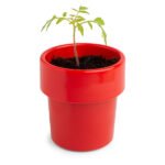 Échantillon de graines de plantes dans gobelet à café
