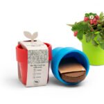 Échantillon de graines de plantes dans gobelet à café