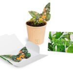 Papier avec graines de fleurs