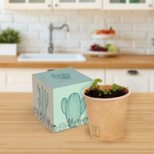 Cubes avec graines de plantes