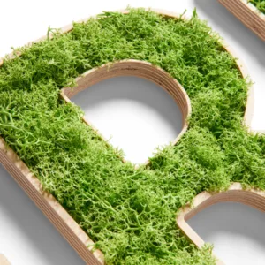 Lettres individuelles en mousse