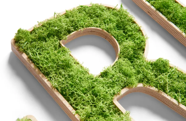 Lettres individuelles en mousse