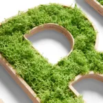 Lettres individuelles en mousse
