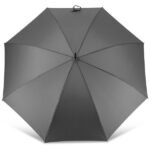 Échantillon de parapluie canne doppler® Nature Stick AC