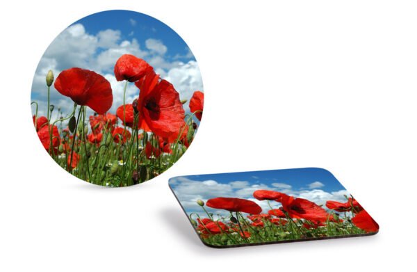 Dessous de verre RICOLOR® résistants au lave-vaisselle