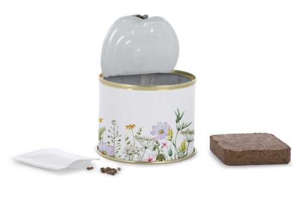 Graines de plantes en conserves