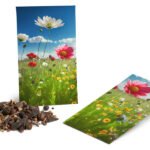 Enveloppes de graines