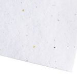 Cartes de visite en papier à base de graines