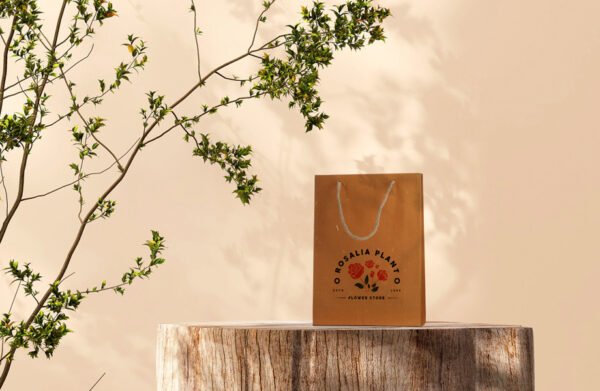 Sacs en papier avec cordon en jute