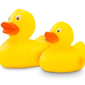 Échantillon de canard en plastique