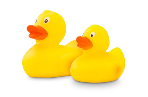 Échantillon de canard en plastique