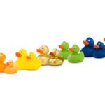 Échantillon de canard en plastique coloré