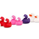 Échantillon de canard en plastique coloré