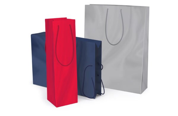 Sacs classiques en papier non imprimé