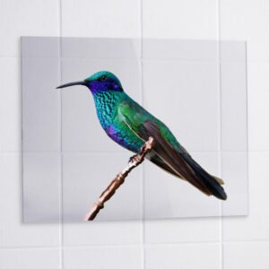 Verre acrylique en impression directe UV