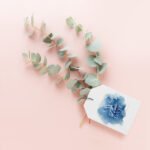 Étiquettes pour produits et cadeaux
