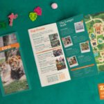 Magazines avec reliure par agrafage (6 pages de couverture)