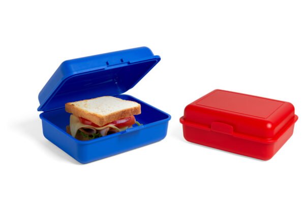 Échantillon de boîte à repas, classique