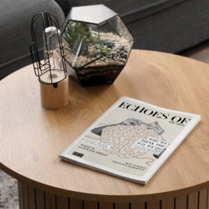 Magazines antimicrobiens