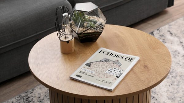 Magazines antimicrobiens