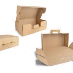 Valises en carton