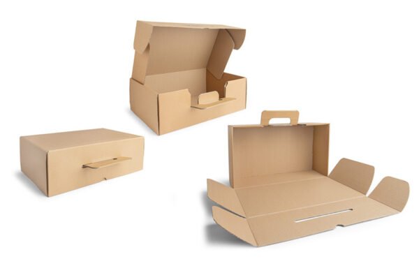 Valises en carton