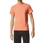 T-shirt homme Heavy Cotton™