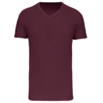 T-shirt Bio150 IC col V homme