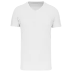 T-shirt Bio150 IC col V homme
