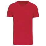 T-shirt Bio150 IC col V homme