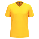T-shirt col V manches courtes homme