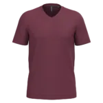 T-shirt col V manches courtes homme