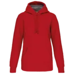Sweat shirt capuche unisexe