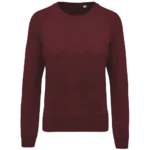 Sweat-shirt Bio col rond manches raglan femme