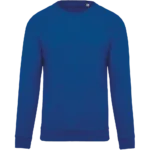 Sweat-shirt Bio manches raglan enfant