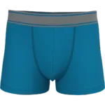 Boxer