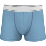 Boxer
