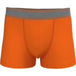 Boxer