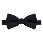 Noeud papillon