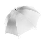 Parapluie tempête