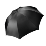 Parapluie tempête