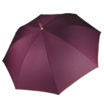 Parapluie mât en bois