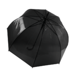 Parapluie transparent