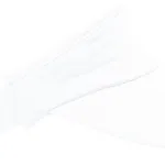 Visière