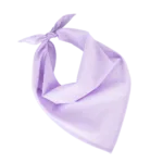 Fiesta – Bandana