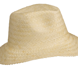 Panama – Chapeau