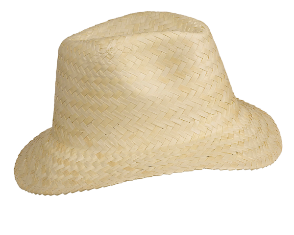 Panama – Chapeau
