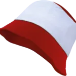 Bob
