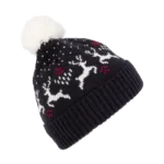 Bonnet de Noël motifs rennes