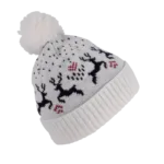 Bonnet de Noël motifs rennes